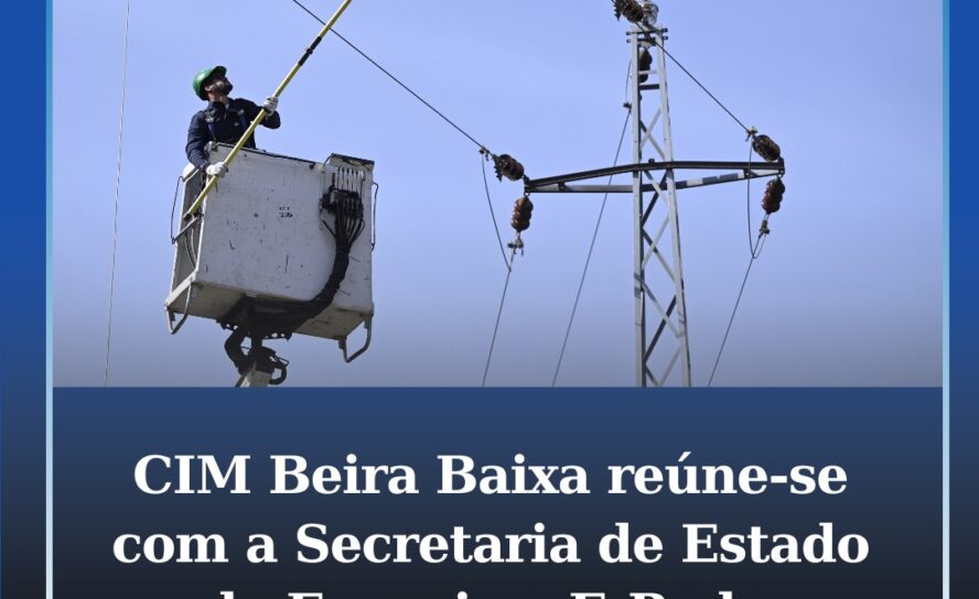 CIM Beira Baixa reuniu-se com a Secretaria de Estado da Energia e E-