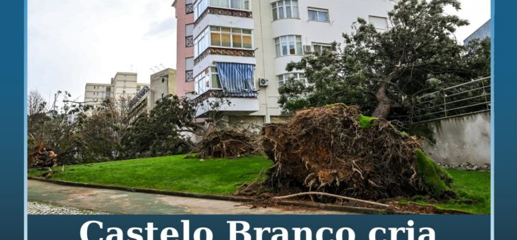 Castelo Branco cria Unidade Municipal de Resposta às Intempéries