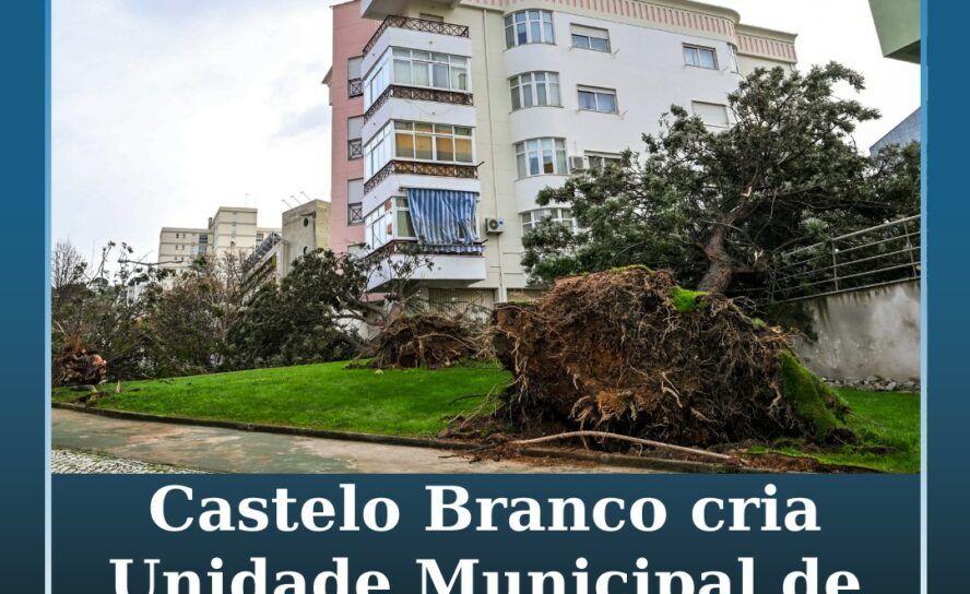 Castelo Branco cria Unidade Municipal de Resposta às Intempéries