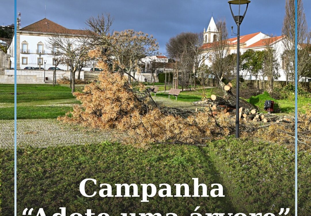 Castelo Branco lança campanha “Adote uma Árvore” para reflorestação do concelho