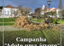 Castelo Branco lança campanha “Adote uma Árvore” para reflorestação do concelho