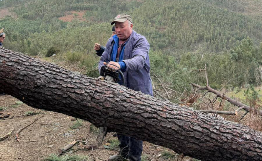 Comunidade de Corgas mobiliza-se para desobstruir caminhos florestais