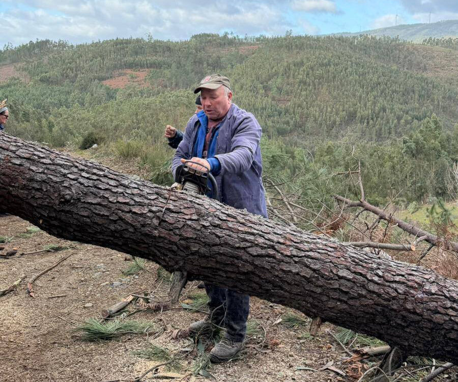 Comunidade de Corgas mobiliza-se para desobstruir caminhos florestais