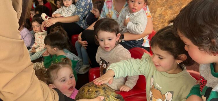 Crianças da Santa Casa da Misericórdia de Belmonte recebem atividade com animais