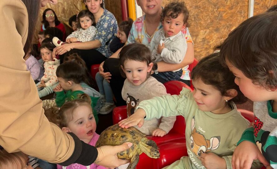 Crianças da Santa Casa da Misericórdia de Belmonte recebem atividade com animais
