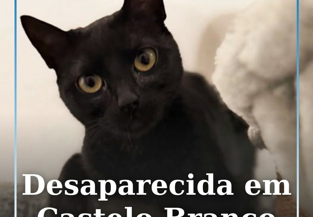 Desaparecida em Castelo Branco