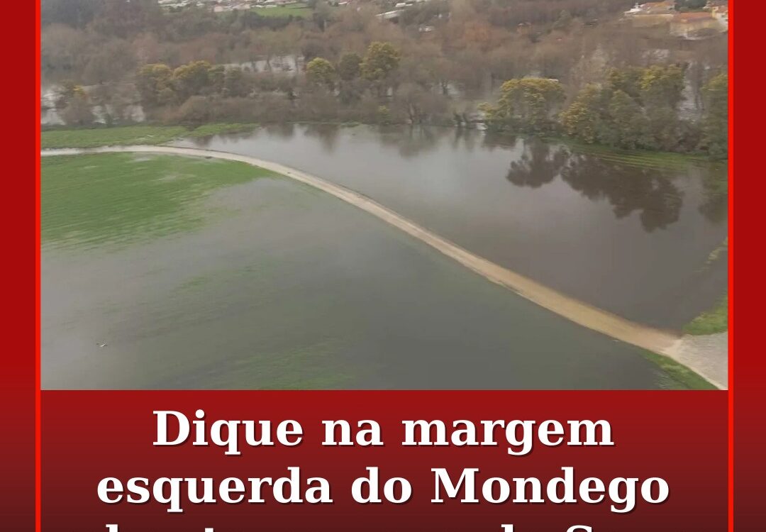 Dique na margem esquerda do Mondego rebenta na zona de Soure