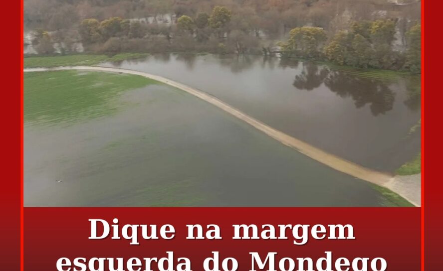 Dique na margem esquerda do Mondego rebenta na zona de Soure
