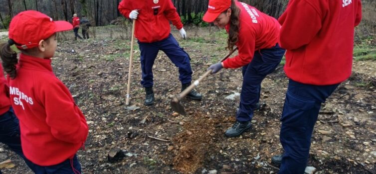 Escolinha de Cadetes e Infantes participa em ação de reflorestação na Serra da E