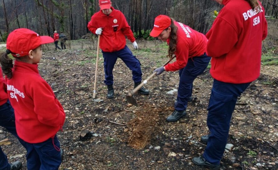 Escolinha de Cadetes e Infantes participa em ação de reflorestação na Serra da E