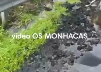 Estrada em más condições entre Nisa e Alpalhão