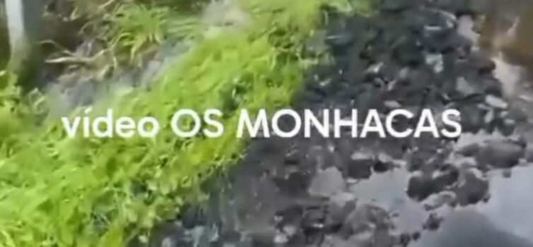 Estrada em más condições entre Nisa e Alpalhão