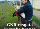 GNR resgata cegonha branca ferida em Castelo Branco