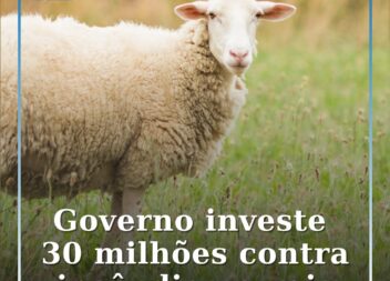 Governo lança apoio ao pastoreio extensivo para prevenir incêndios