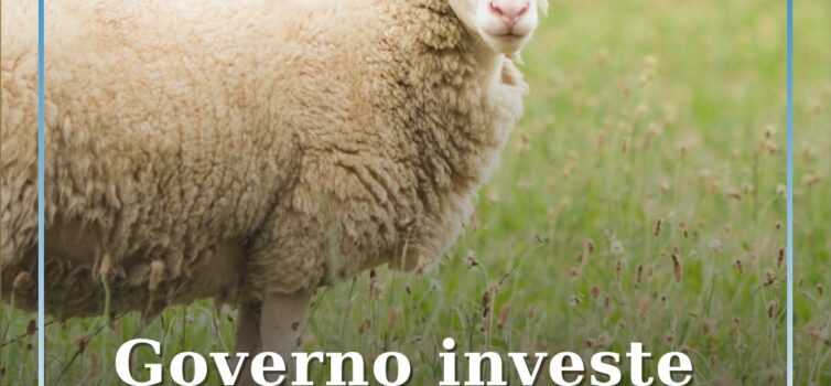 Governo lança apoio ao pastoreio extensivo para prevenir incêndios