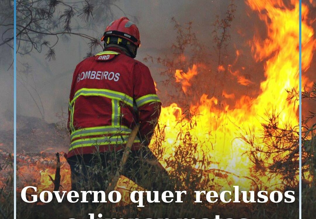 Governo quer reclusos a limpar matas para prevenir incêndios
