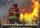 Governo quer reclusos a limpar matas para prevenir incêndios