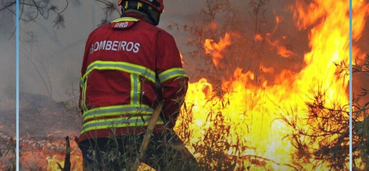 Governo quer reclusos a limpar matas para prevenir incêndios