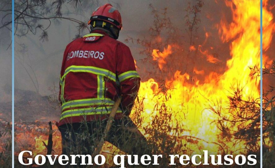 Governo quer reclusos a limpar matas para prevenir incêndios