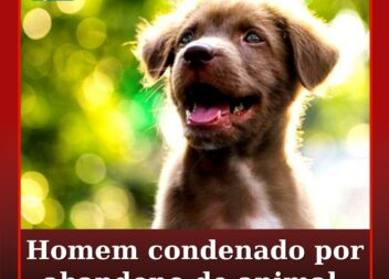 Homem constituído arguido por abandono de animal de companhia na Guarda