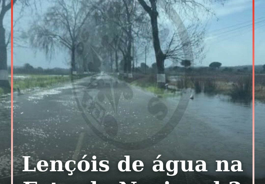 Lençóis de água na Estrada Nacional 2