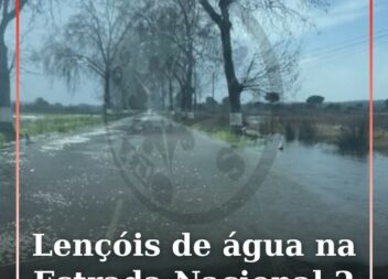 Lençóis de água na Estrada Nacional 2