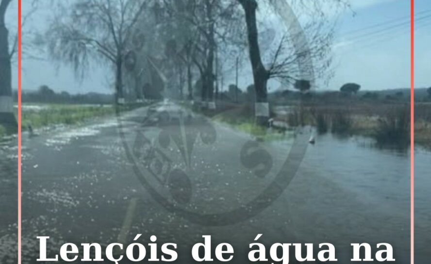 Lençóis de água na Estrada Nacional 2