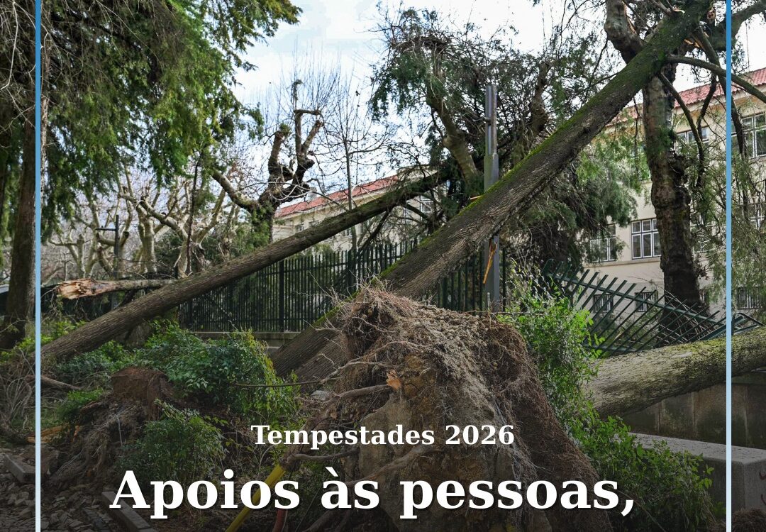 Mecanismos de apoio a pessoas, empresas e municípios