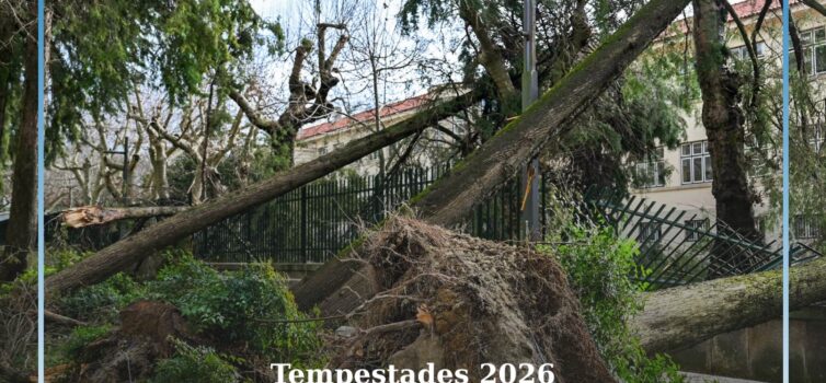 Mecanismos de apoio a pessoas
