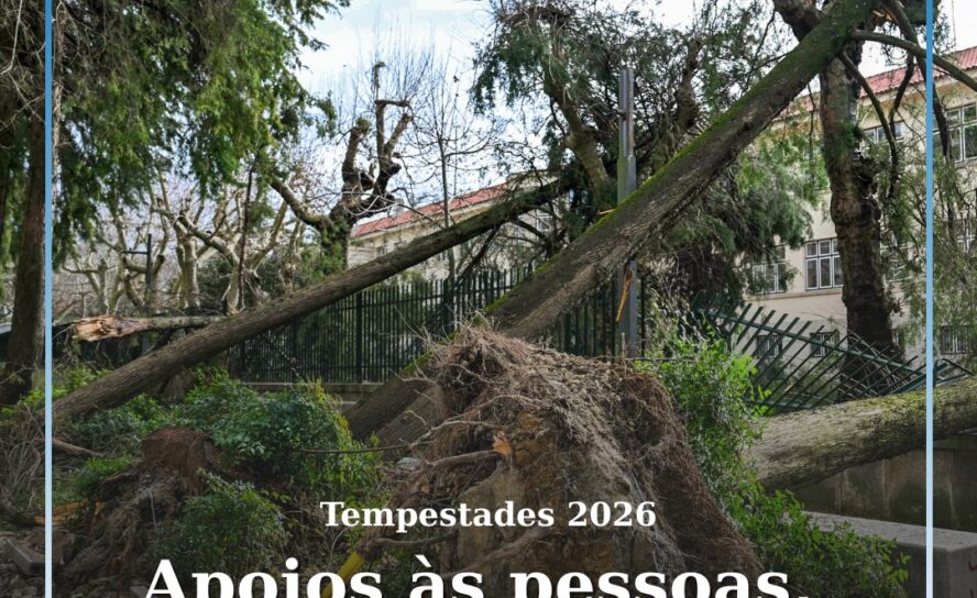Mecanismos de apoio a pessoas