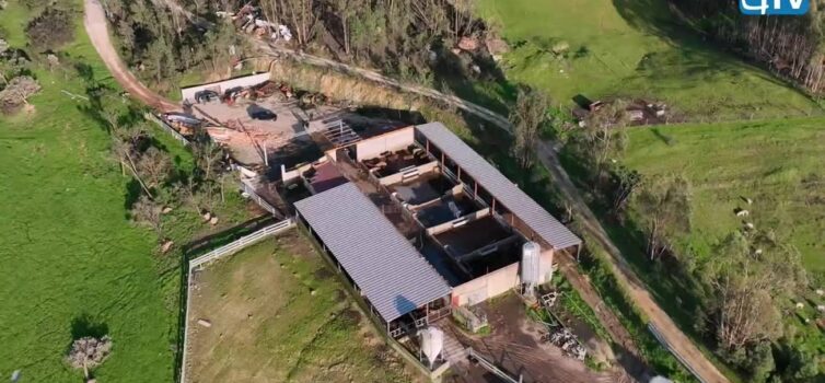 No rescaldo aos prejuízos provocados pela passagem da Depressão Kristin, a Beira