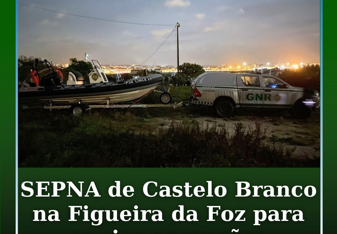 O Serviço de Proteção da Natureza e do Ambiente (SEPNA) de Castelo Branco, já se