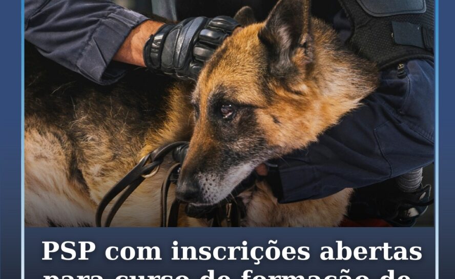 PSP com inscrições abertas para curso de formação de detentores de cães perigoso