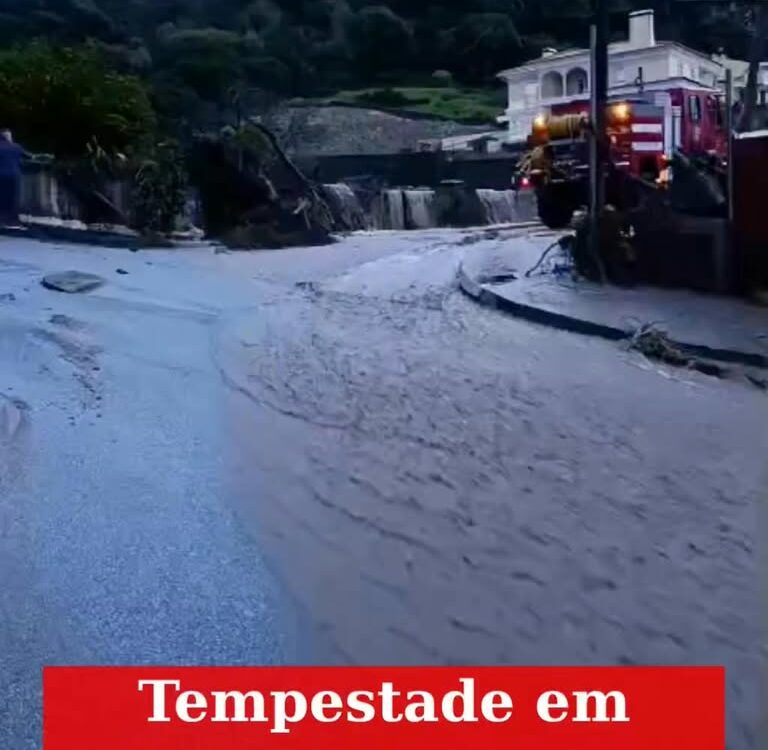 Resultado da chuva forte sentida esta quinta feira em Portalegre.