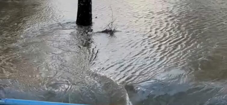 Resultado da chuva forte sentida esta quinta-feira na Escola Superior Agrária de