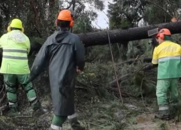 Sapadores florestais da CIM Beira Baixa no terreno