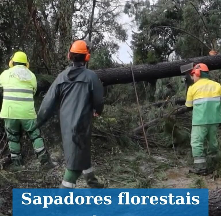 Sapadores florestais da CIM Beira Baixa no terreno