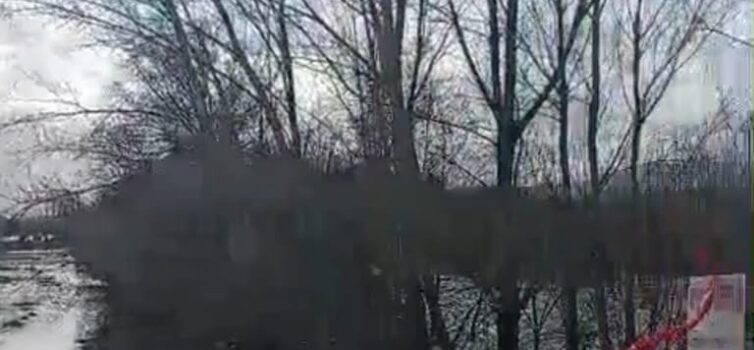 Tempestade Leonardo afeta Orjais