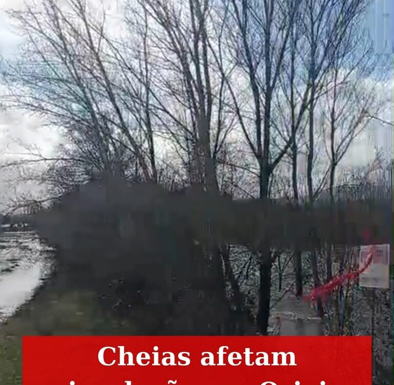 Tempestade Leonardo afeta Orjais