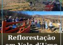 Vale d’Urso avança com reflorestação comunitária após incêndio de verão