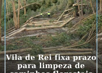 Vila de Rei fixa prazo para limpeza de caminhos florestais