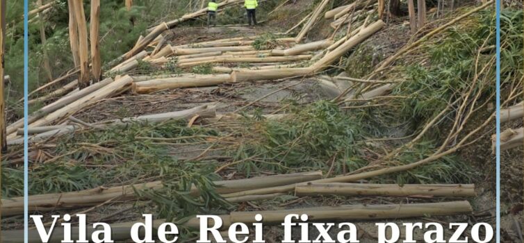 Vila de Rei fixa prazo para limpeza de caminhos florestais