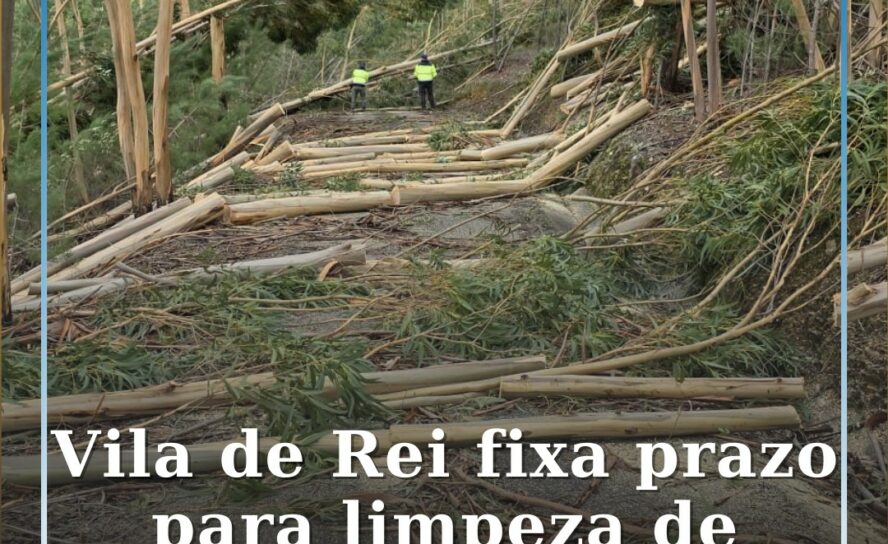 Vila de Rei fixa prazo para limpeza de caminhos florestais