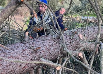 Voluntários repõem acessos para ajudar a restabelecer eletricidade em Freixial e