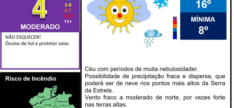 Les commentaires ont été désactivés pour cette publication.