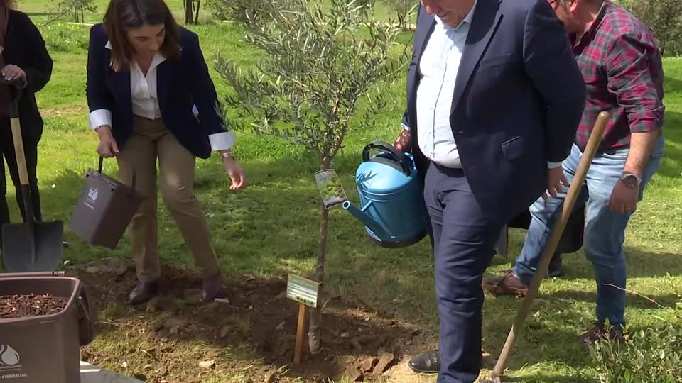 EM DIRETO: BEIRA BAIXA TV