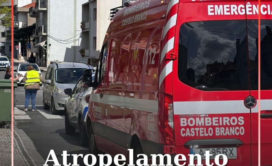 Atropelamento em Castelo Branco