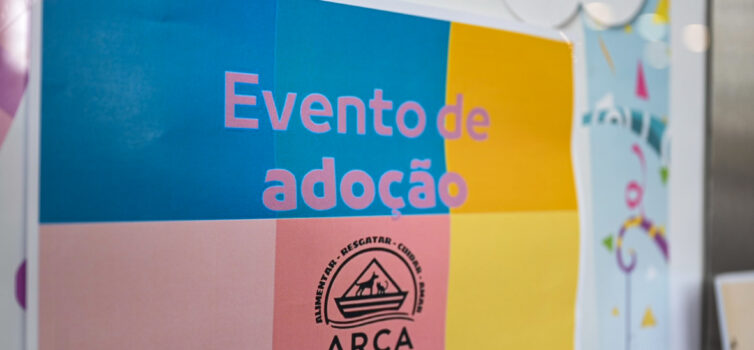 AAção de Adoção da ARCA no Fórum Castelo Branco