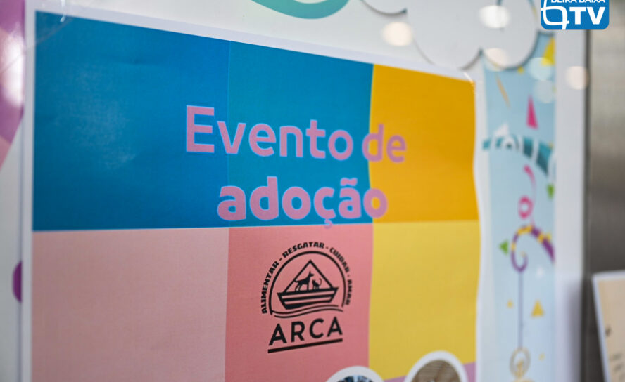 AAção de Adoção da ARCA no Fórum Castelo Branco
