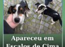 Apareceu em Escalos de Cima
